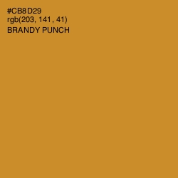 #CB8D29 - Brandy Punch Color Image